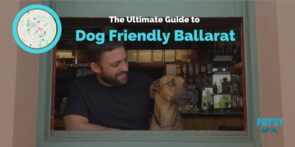dog-friendly-ballarat