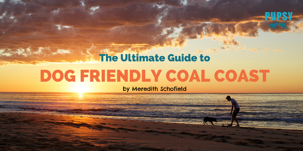 dog-friendly-coal-coast