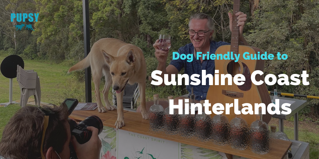 dog-friendly-sunshine-coast-hinterlands