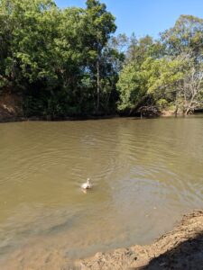 Polish 20211226 101205451 225x300