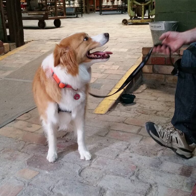 Bendigo Pottery 1 768x768