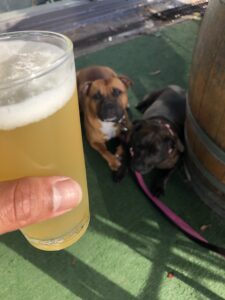 E98AF04D 22E6 4100 B676 7ABE2F5249C6 225x300