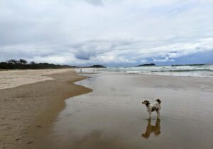 PXL 20211226 0026013522 300x210