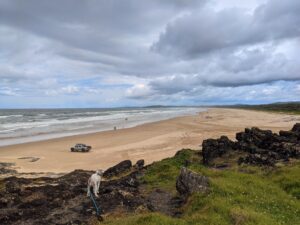 PXL 20211229 0136390752 300x225