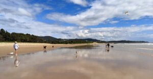 PXL 20211229 2237347462 300x156