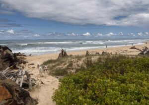 PXL 20211230 0335025832 300x212