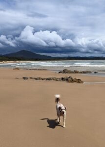 PXL 20211230 2325313433 215x300