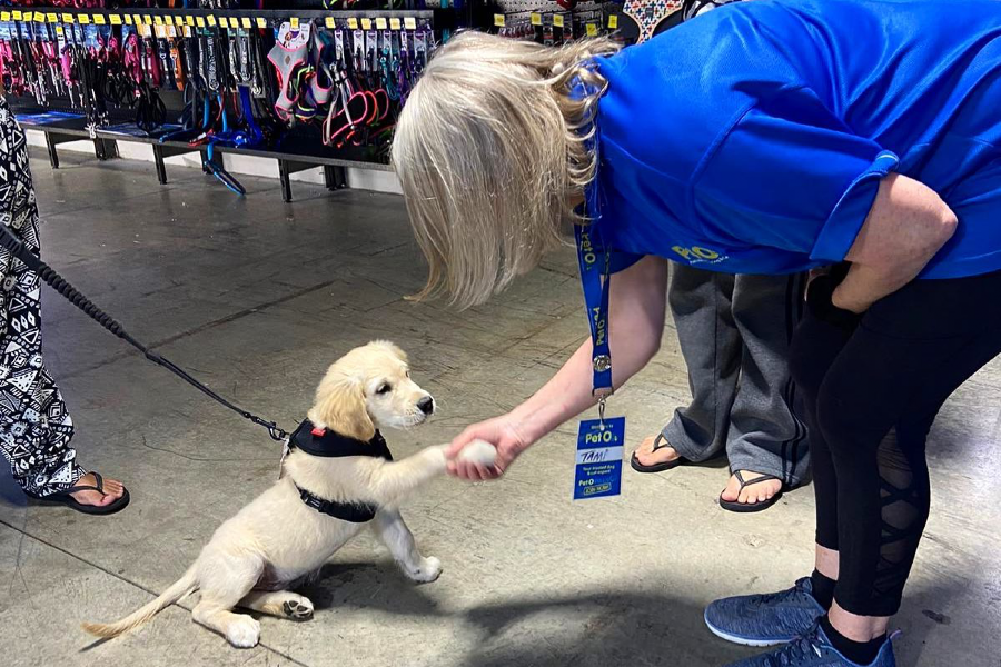 Detroit Lions Got That Dog In 'Em, Unveil Pet Community for the Fans