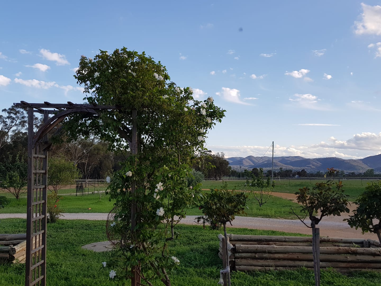 shawwood cottage dog friendly accommodation 7