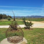 shawwood cottage dog friendly accommodation 9 150x150