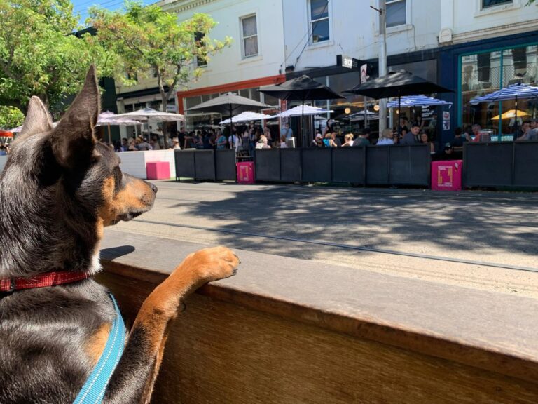 Arcadia Cafe 1 768x576