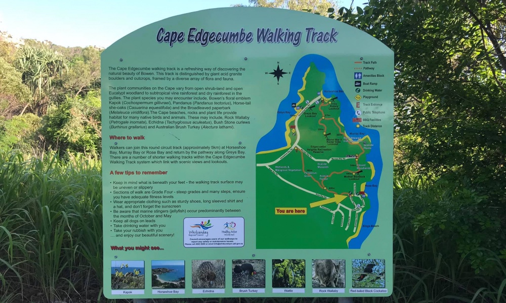 Cape Edgecumbe Trail | Dog Friendly Walk in Bowen | Pupsy