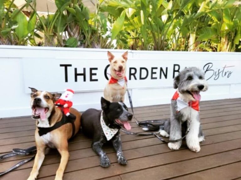 Garden Bar Bistro 6 768x575