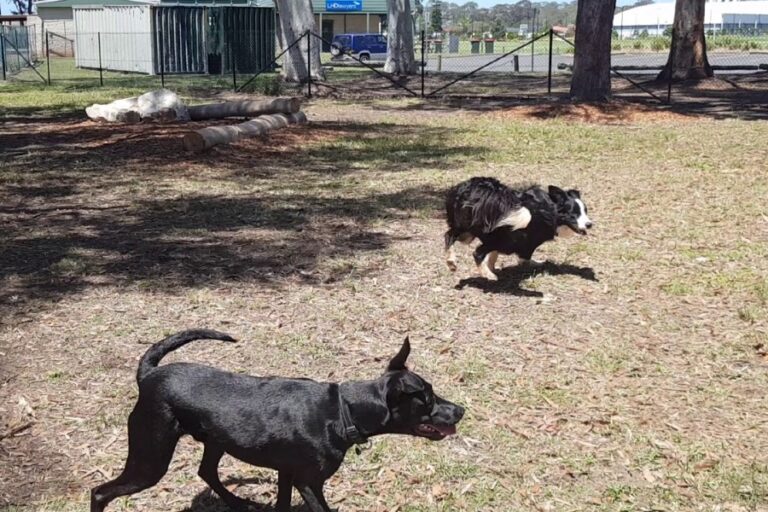 Stuart Park 96 768x512