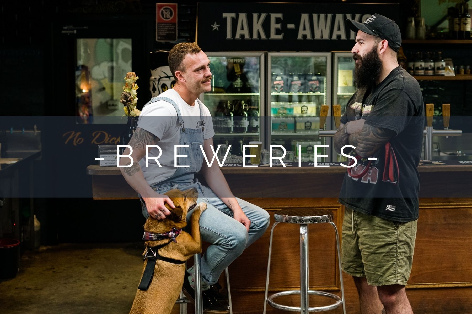 dog-friendly-breweries-home
