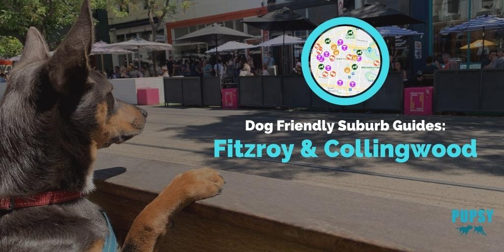 dog-friendly-fitzroy-collingwood
