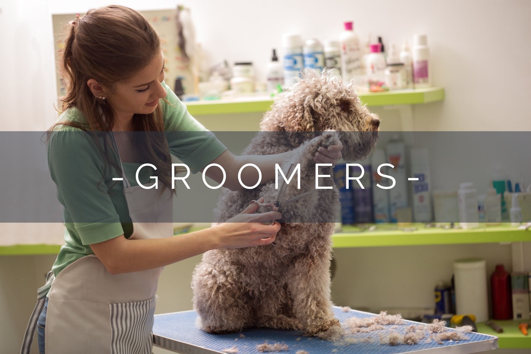 dog-grooming-home