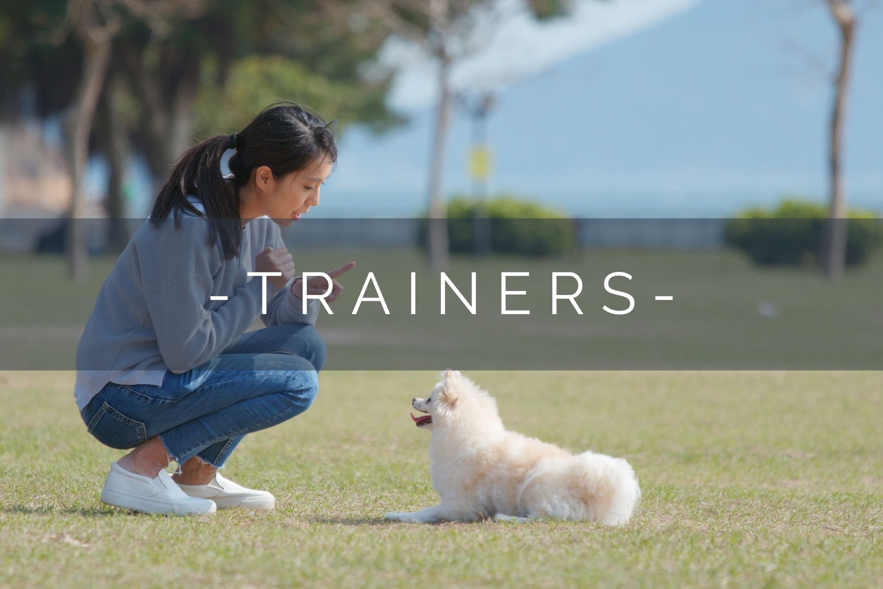 dog-trainers-home