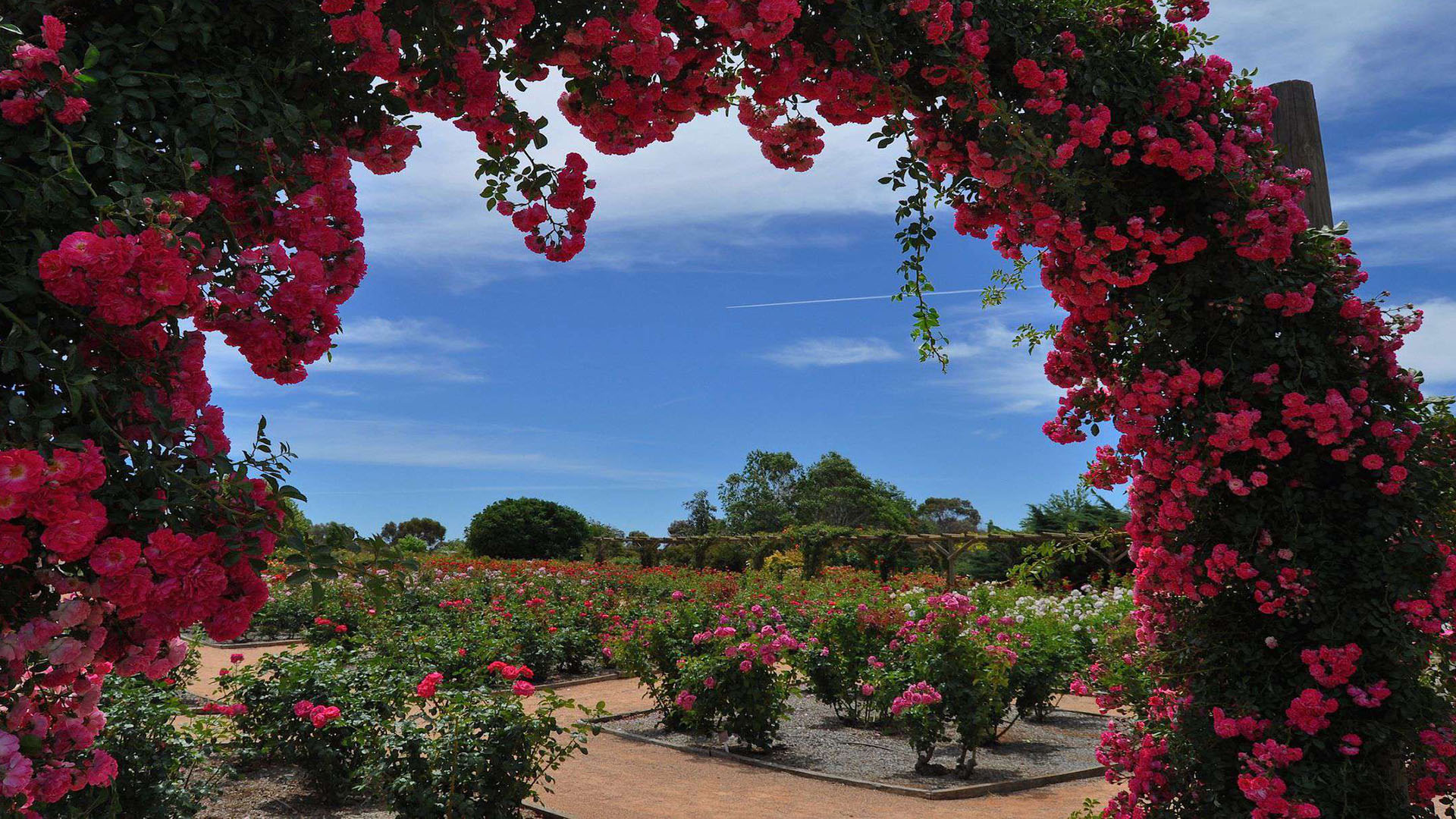 Australian Inland Botanic Gardens