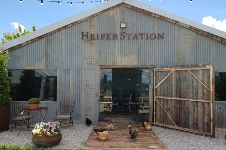 Heifer Station 4 96 768x512