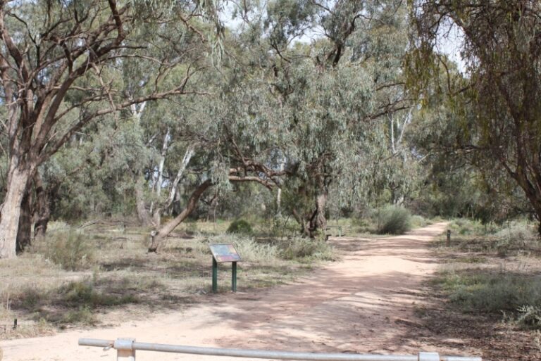 Kings Billabong Wildlife Reserve 768x513