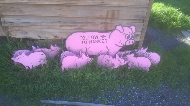 Merbein Market 768x431