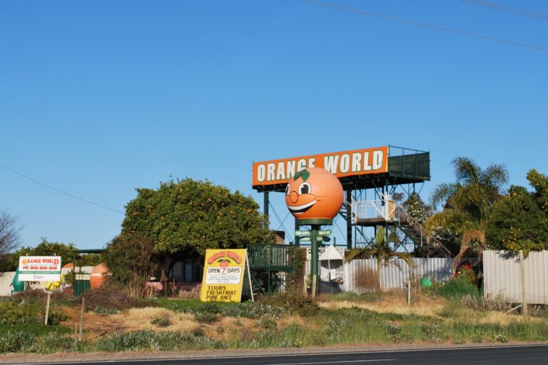 Orange World 768x512