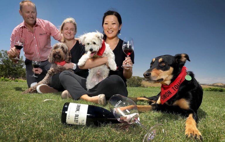 Simon Tolley Wines 3 768x486