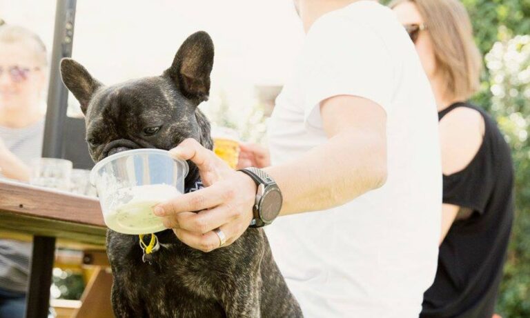 Auburn Hotel 6 10 6 1 768x461