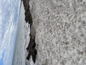 E2F741F2 5E0F 4DDD 94C8 B87D424EF785 300x225