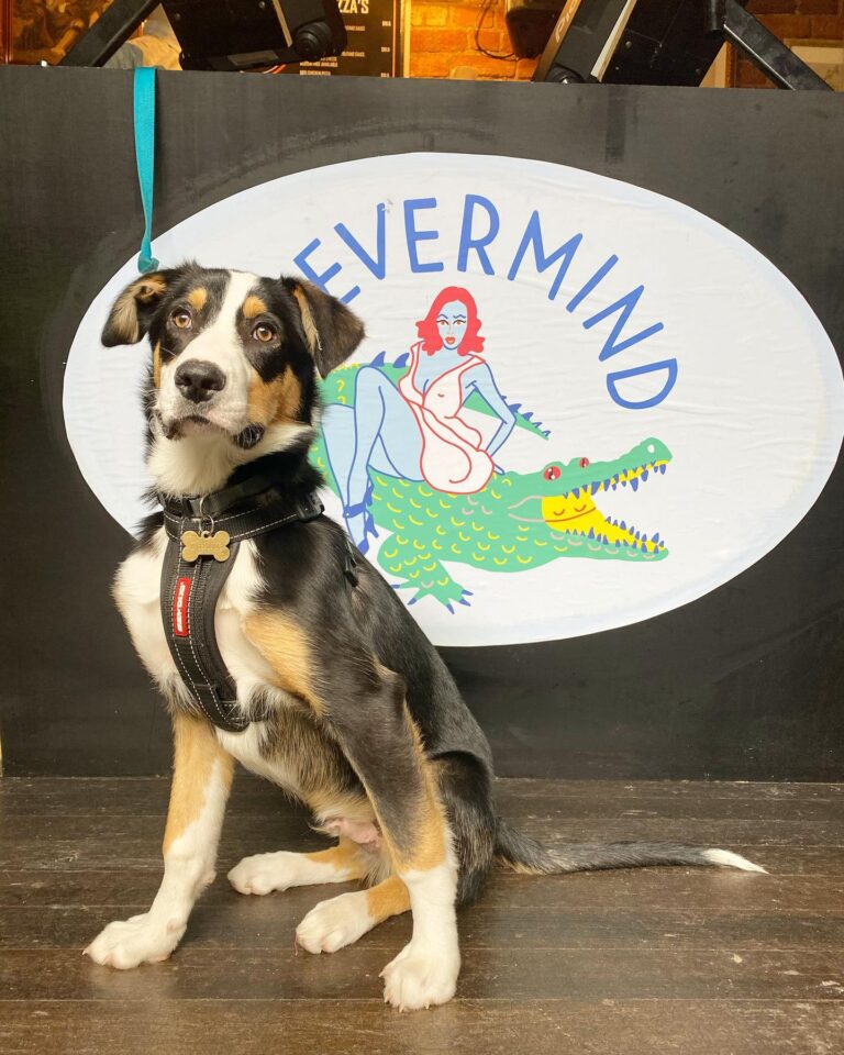 Nevermind Bar 1 768x960