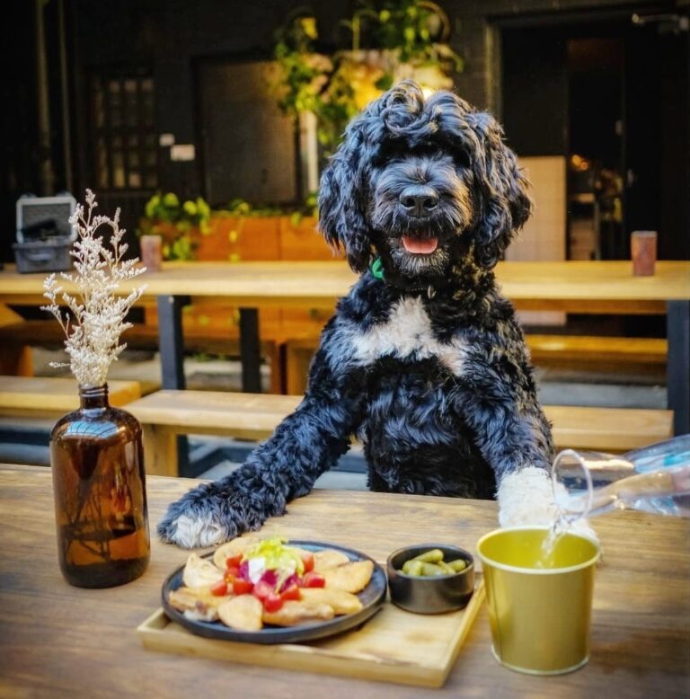 Bonny Fitzroy 768x778