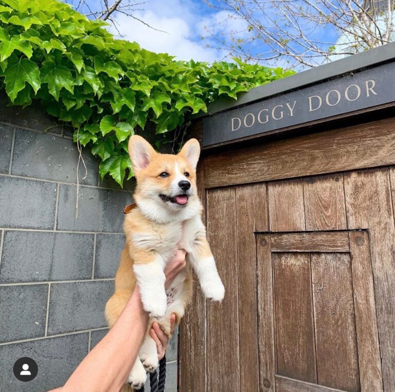 Prince Alfred Hotel 11 768x764