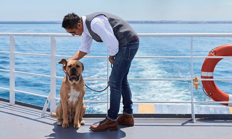 Searoad Ferries 1 106 768x461