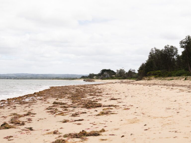 Somers Beach 10 768x576