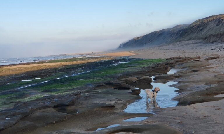 Thirteenth Beach 106 1 768x461