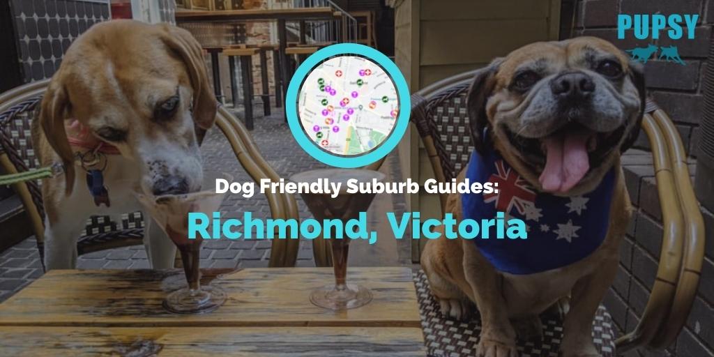 dog-friendly-richmond