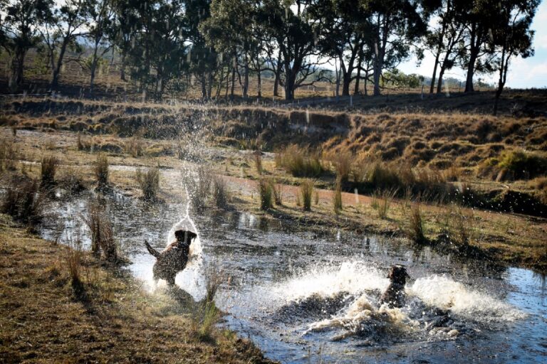 donegal farmstay dog friendly accommodation 11 96 768x512