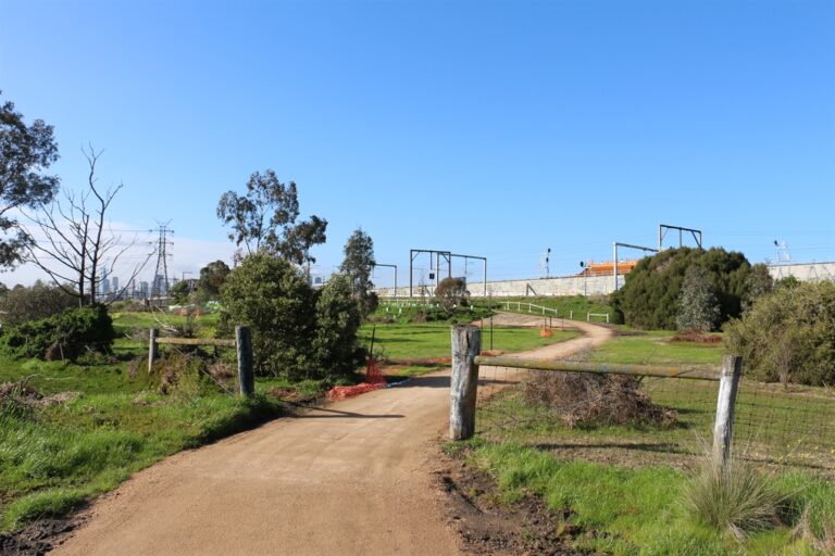 Newells Paddock 768x512