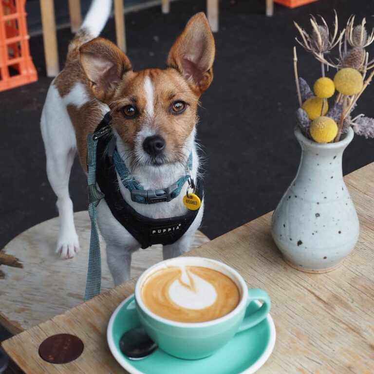 Small Graces 1 768x768