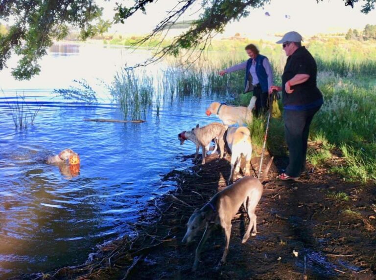 Barrenjoey Peninsula 768x573