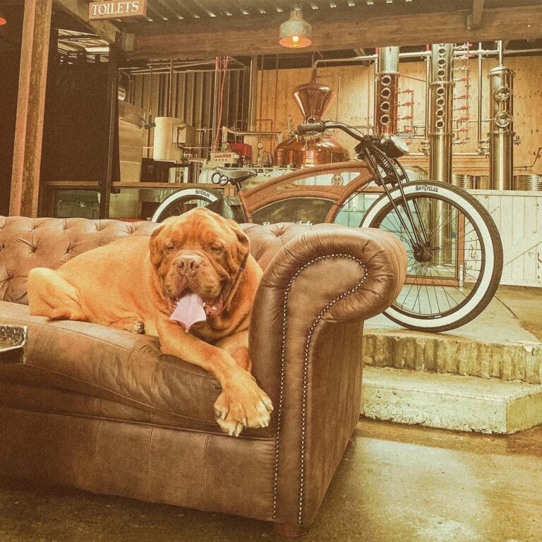 Granddad Jack 3 768x768