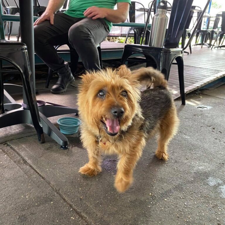 Lime Mexican 1 768x767