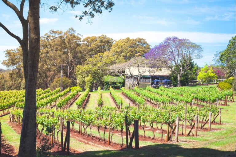 Little Fish Cafe 2 768x512