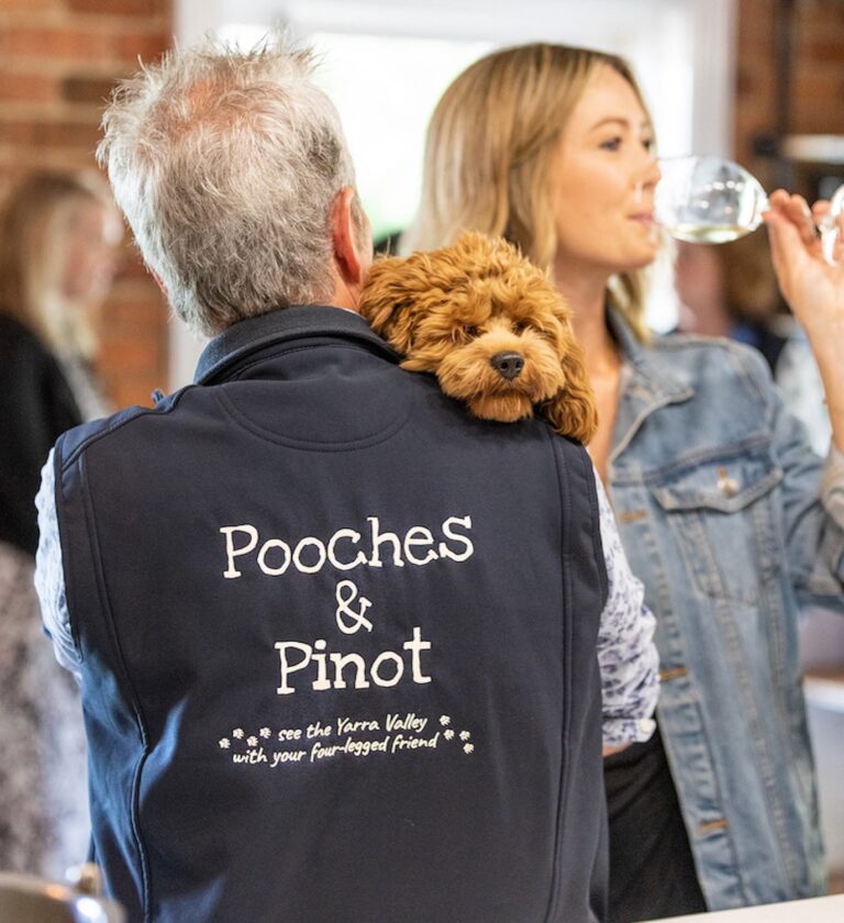 Pooches Pinot 20 768x840