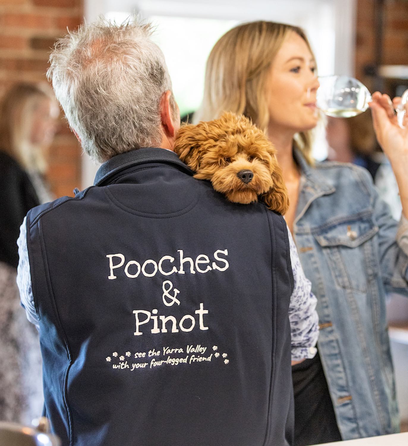 Pooches Pinot 20