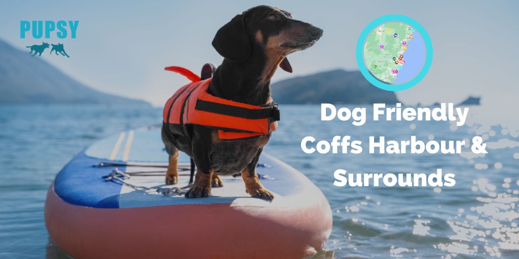 dog-friendly-coffs-harbour