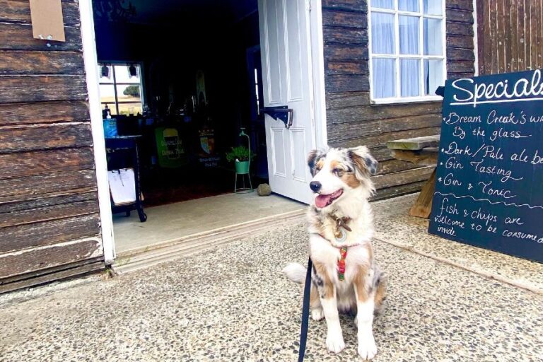 Dunalley Bay Distillery 5 96 768x512