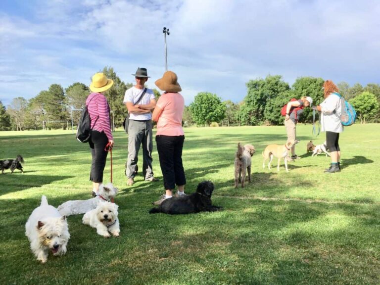 Giralang Ovals 768x576