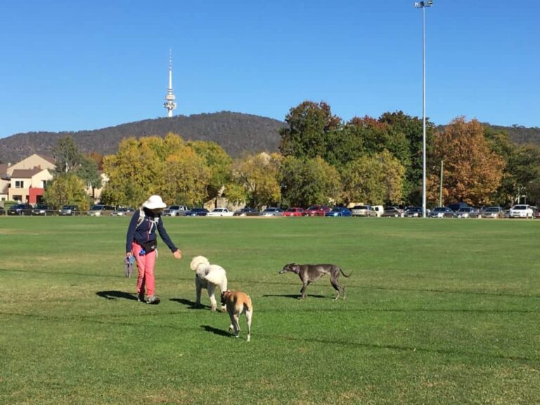 Lyneham OConnor Walk 768x576